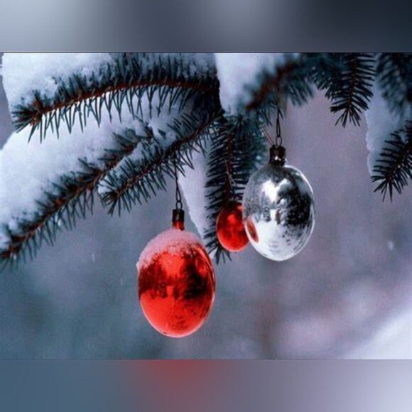 Please Read Please Bundle - Picture 10 of 11